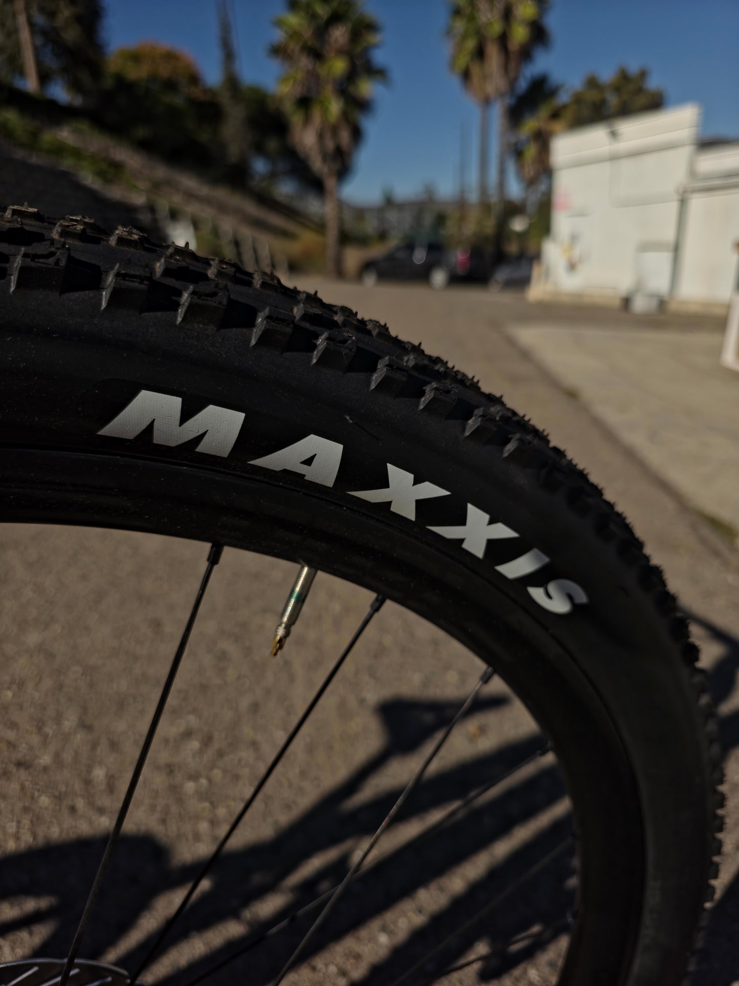 2024 Pinarello Dogma XC MTB  XX SL Eagle AXS